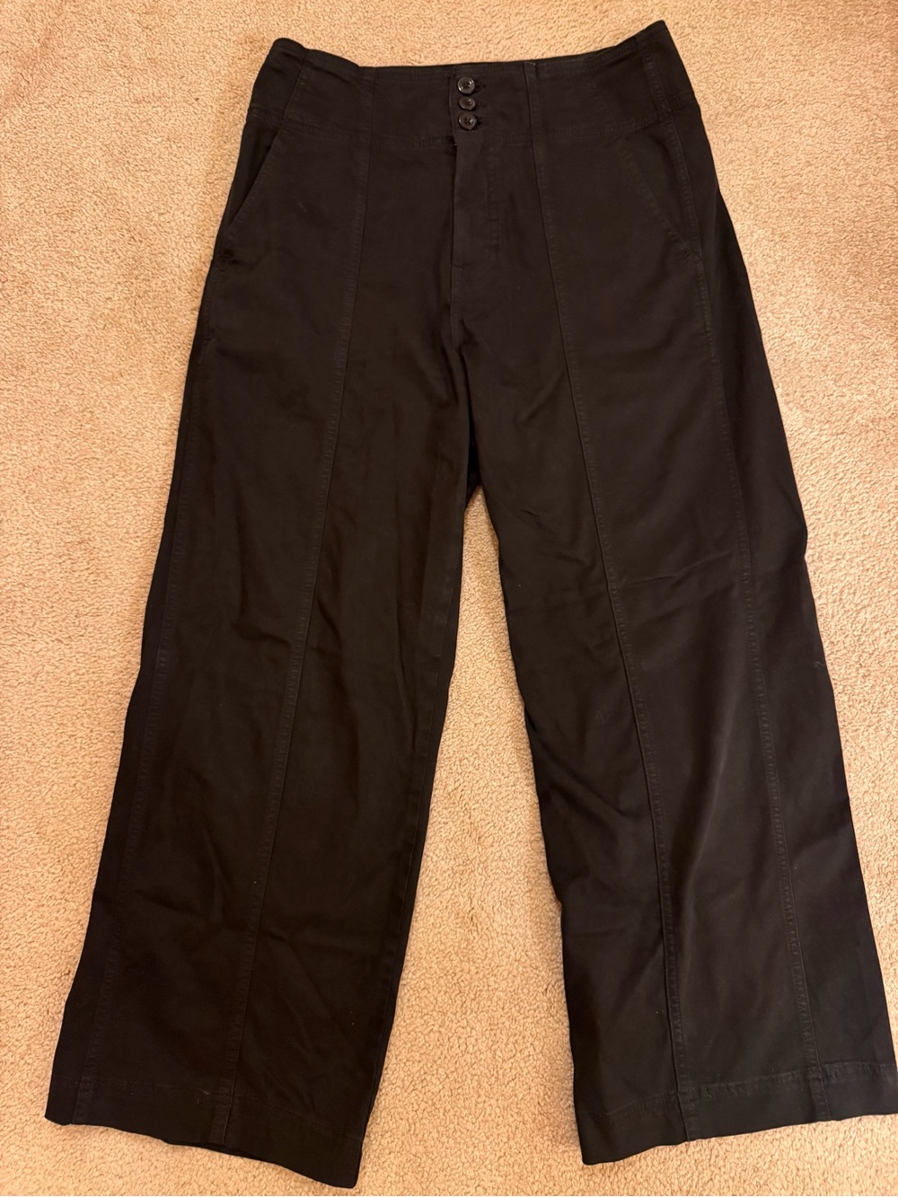 Never worn Anthropologie Pilcro wide leg pants size 30